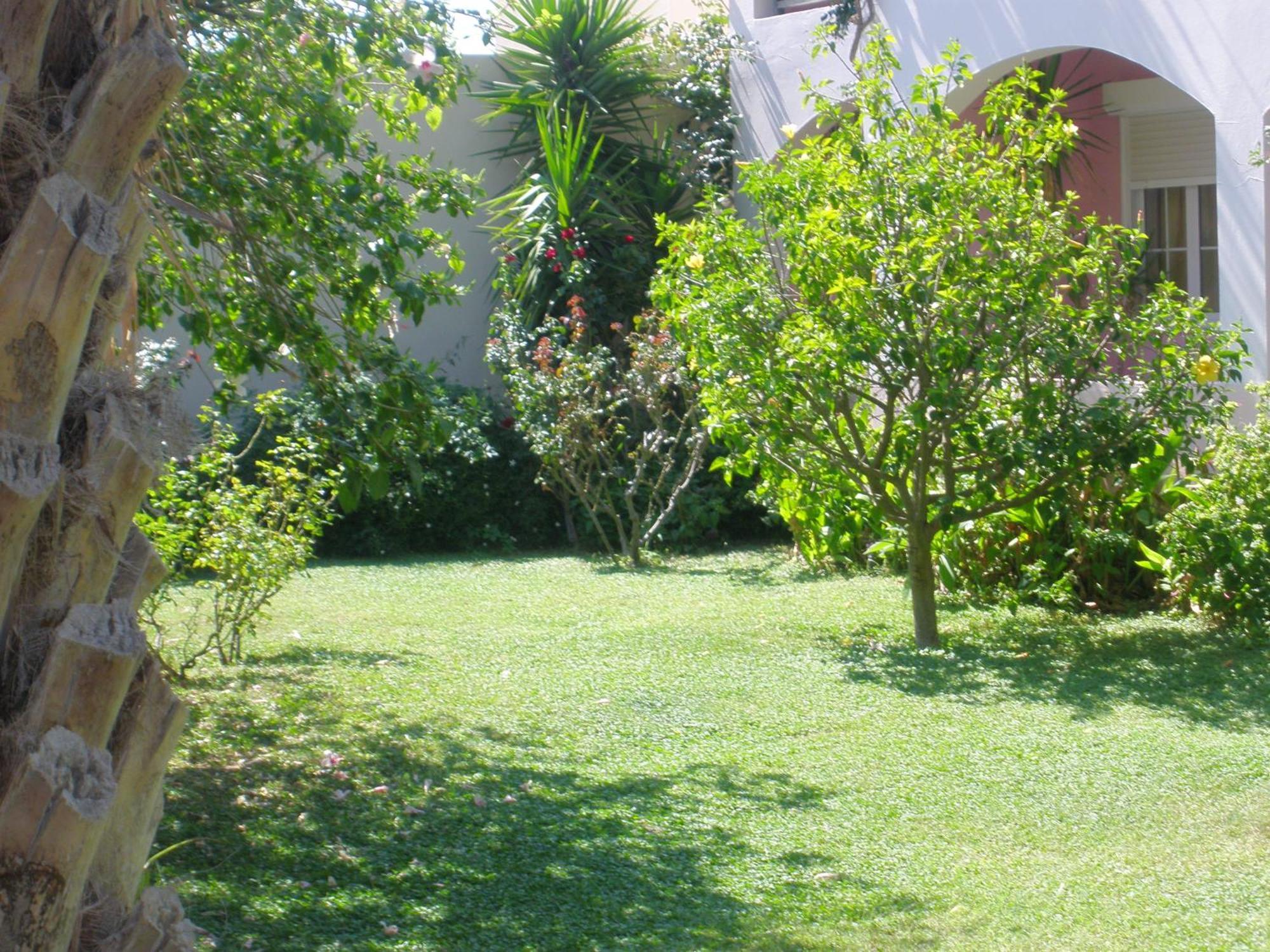 Livadi Apartments ปลาเกียส ภายนอก รูปภาพ
